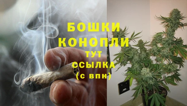 гидропоника Верея