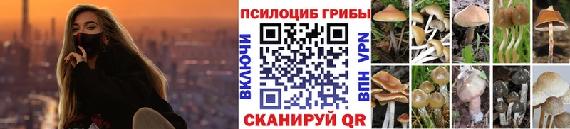 где купить наркоту  Улан-Удэ  это телеграм  Галлюциногенные грибы мицелий 